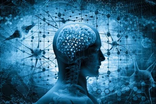 El universo interior: la neurociencia desentraña los secretos de la mente y la conciencia Cerebro Mente cabeza neurociencia cuerpo