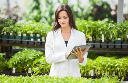 Tecnología verde: profesiones ecológicas del futuro y dónde capacitarte Tecnología verde - plantas