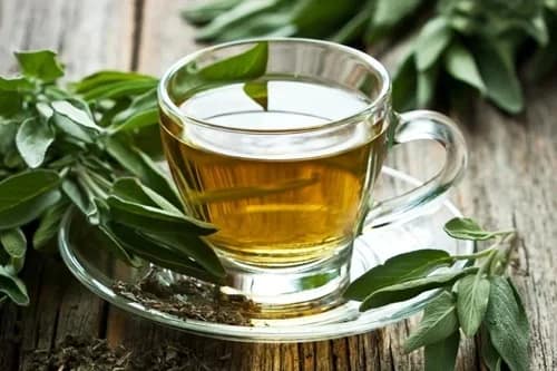 Té verde: Antioxidantes para una vida más larga: cómo previene el envejecimiento Té verde