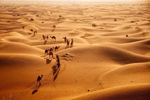 «Los ‘desiertos’ más grandes del mundo: De la vida en el Sahara al misterio del Gobi», un viaje por la geografía y la cultura Desierto