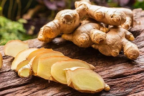 Jengibre o Kión: más allá de la cocina, un aliado contra las náuseas y el dolor Jenjibre kión