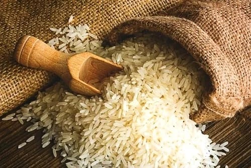¿Puedo dar arroz a mi perro? Desmitificando los alimentos humanos que son aptos (y los que no) Arroz