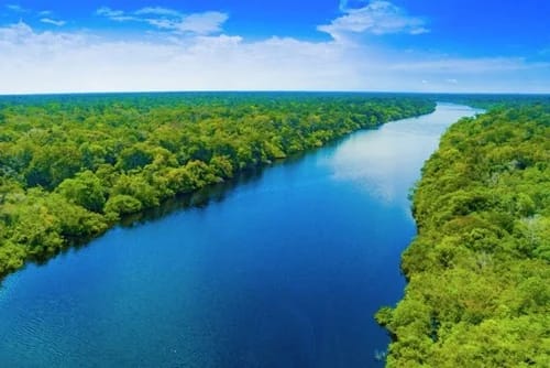 Amazonía: La batalla por el pulmón del planeta y la resiliencia indígena Río agua